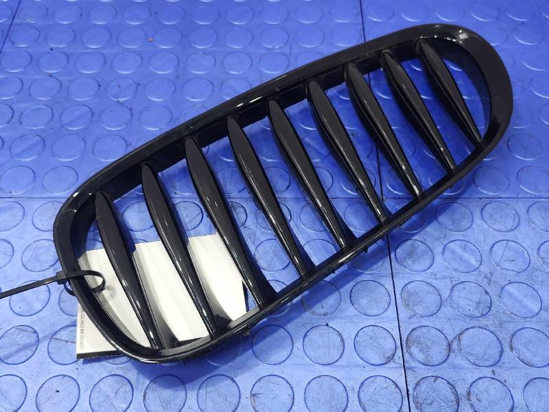 2006 BMW Z4 Grille