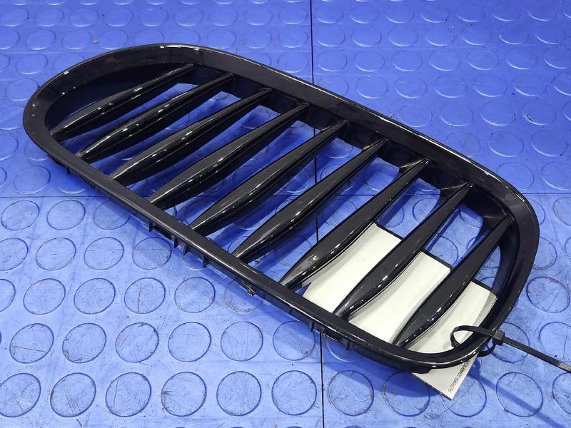 2006 BMW Z4 Grille