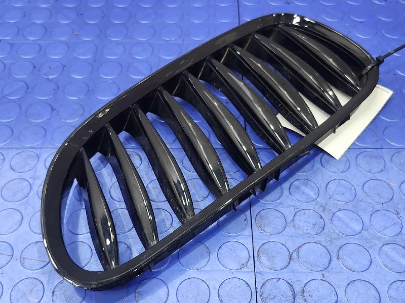 2006 BMW Z4 Grille