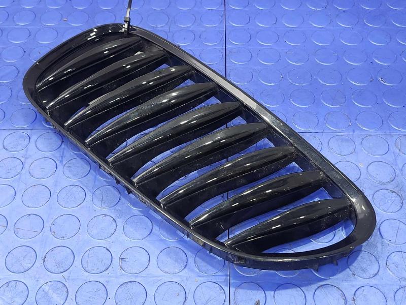 2006 BMW Z4 Grille
