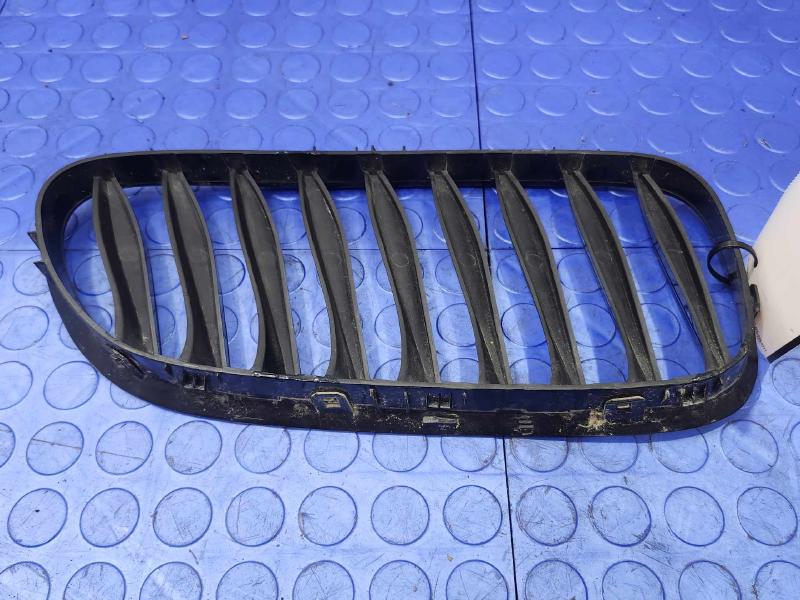 2006 BMW Z4 Grille