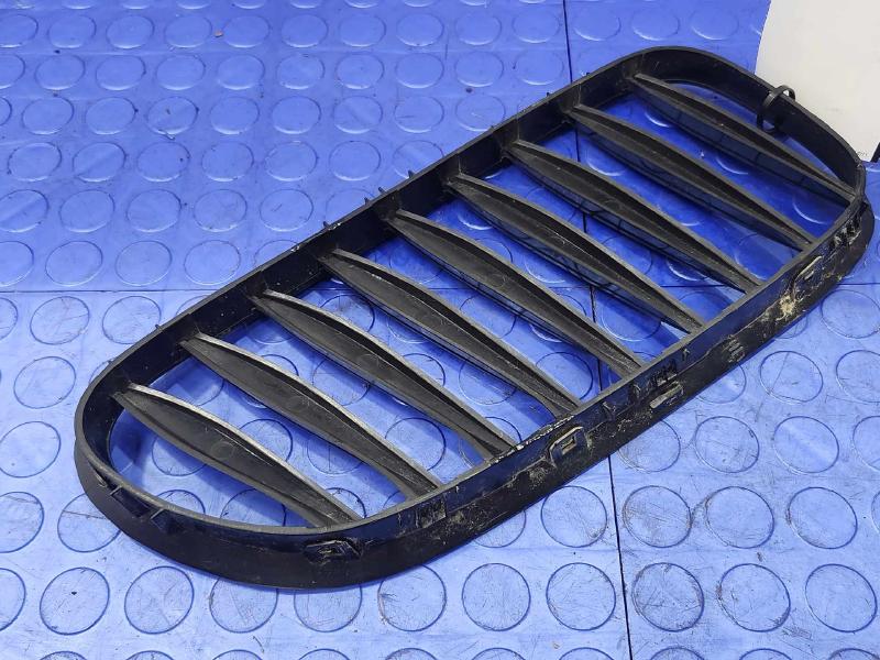 2006 BMW Z4 Grille