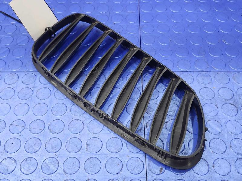 2006 BMW Z4 Grille