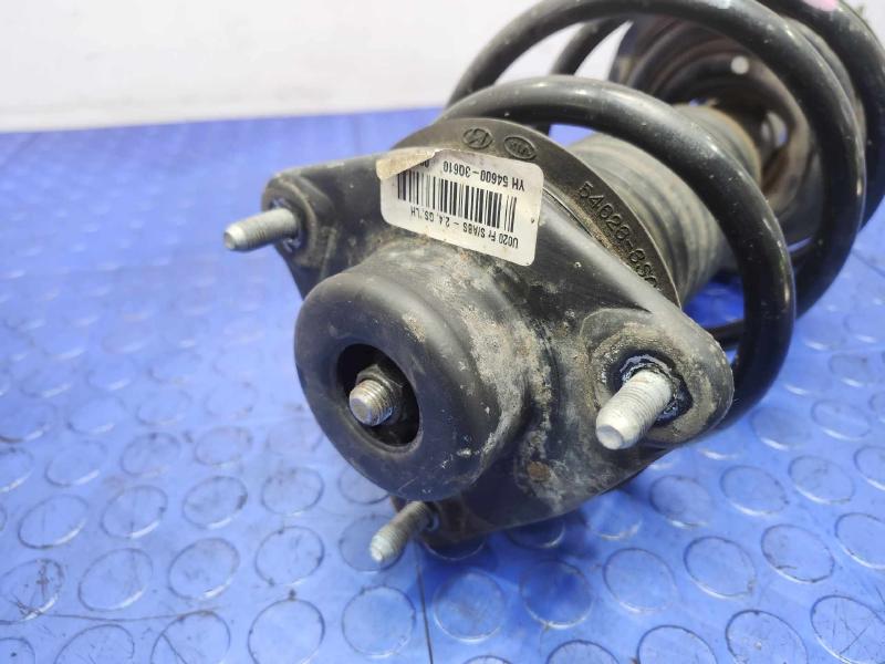 2011 Hyundai Sonata Strut Assembly