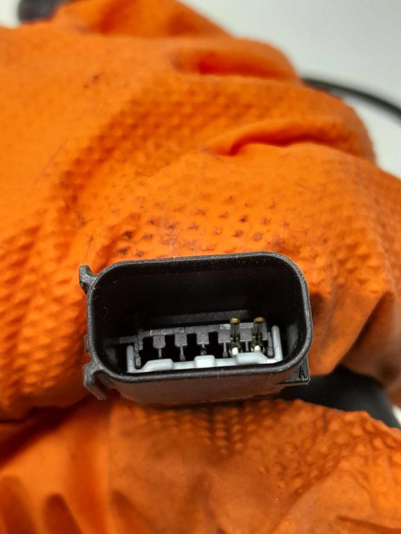 2019 Ford Escape Front Seat Belt