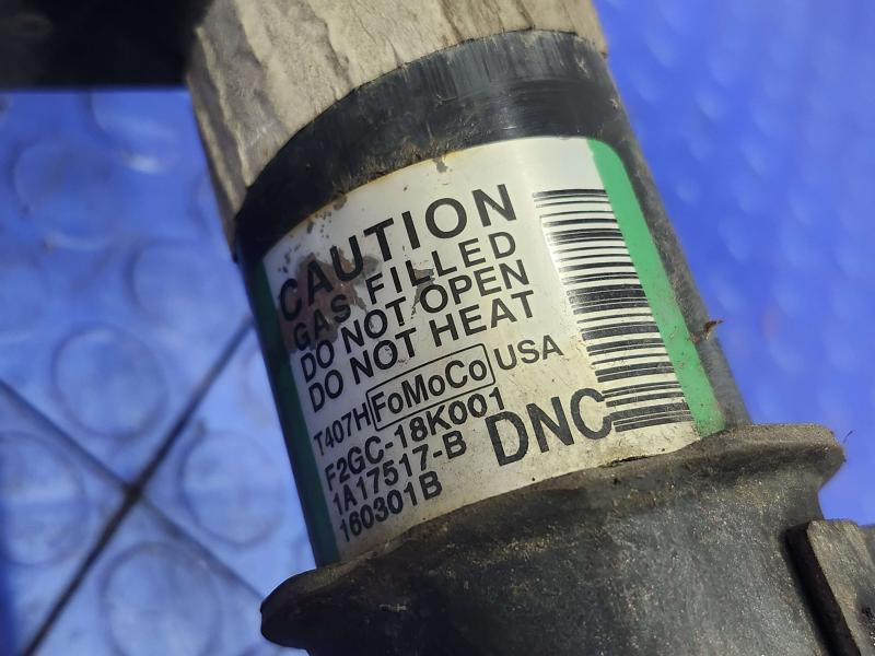 2016 Ford Edge Strut Assembly