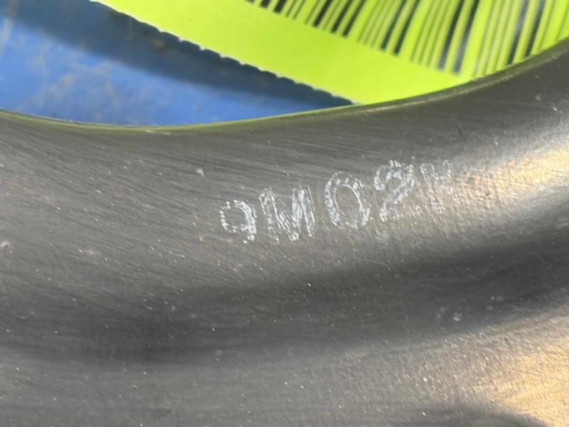 2019 Honda Civic Upper Control Arm Rear