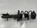 2013 - 2019 Nissan Sentra Front Strut Assembly LH Driver Side OEM E43039AM0B