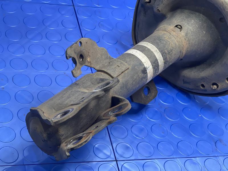 2007 Lexus ES 350 Strut Assembly