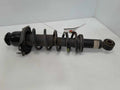 2015 Toyota Corolla Strut Assembly