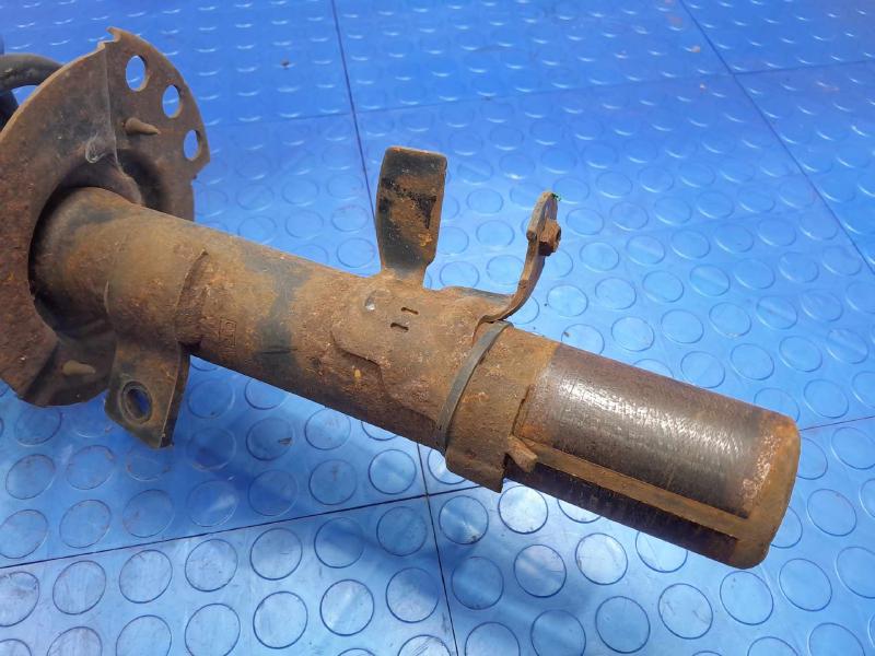 2016 Ford Escape Strut Assembly