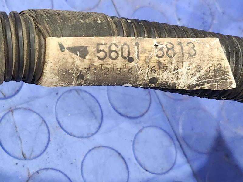 1997 Dodge Dakota 3.9L 4x4 Engine Wiring Harness Assembly Genuine OEM 56018813