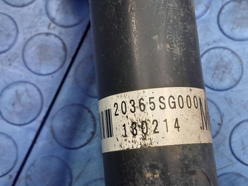 2014 Subaru Forester Strut Assembly