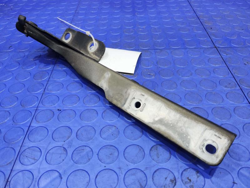2013 Ford F-150 Hood Hinge