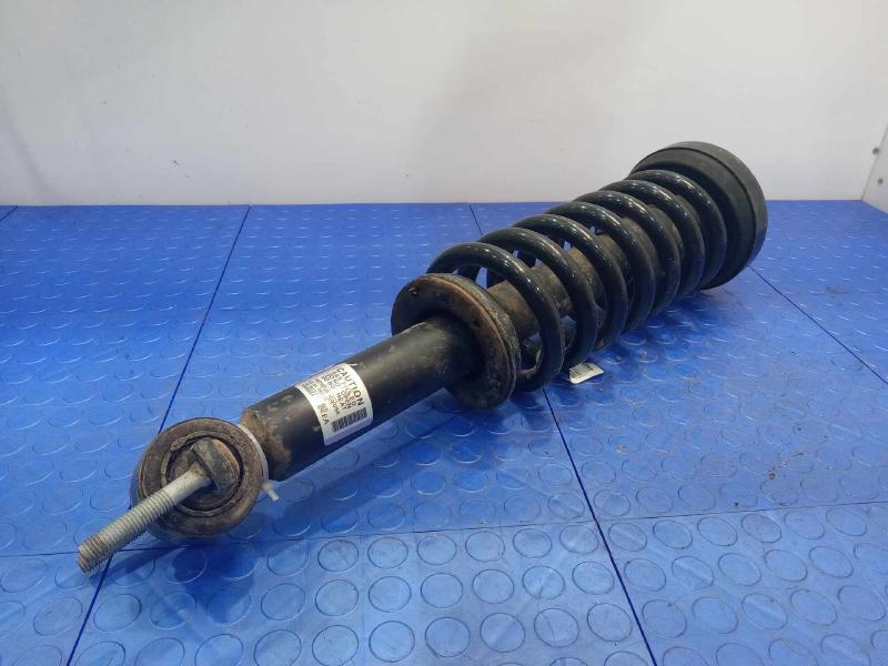 2016 Ford F-150 Strut Assembly
