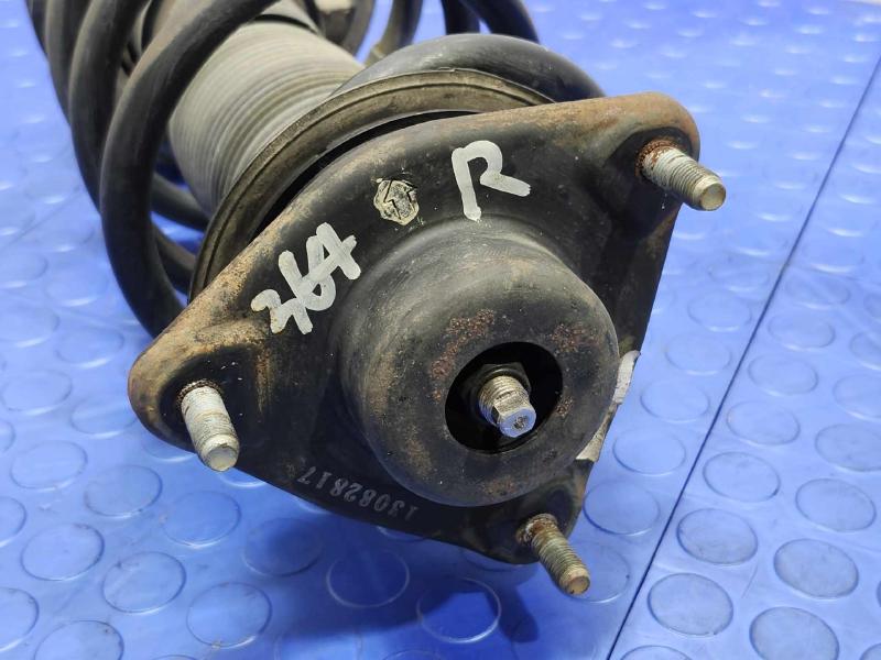 2013 Hyundai Santa Fe Strut Assembly