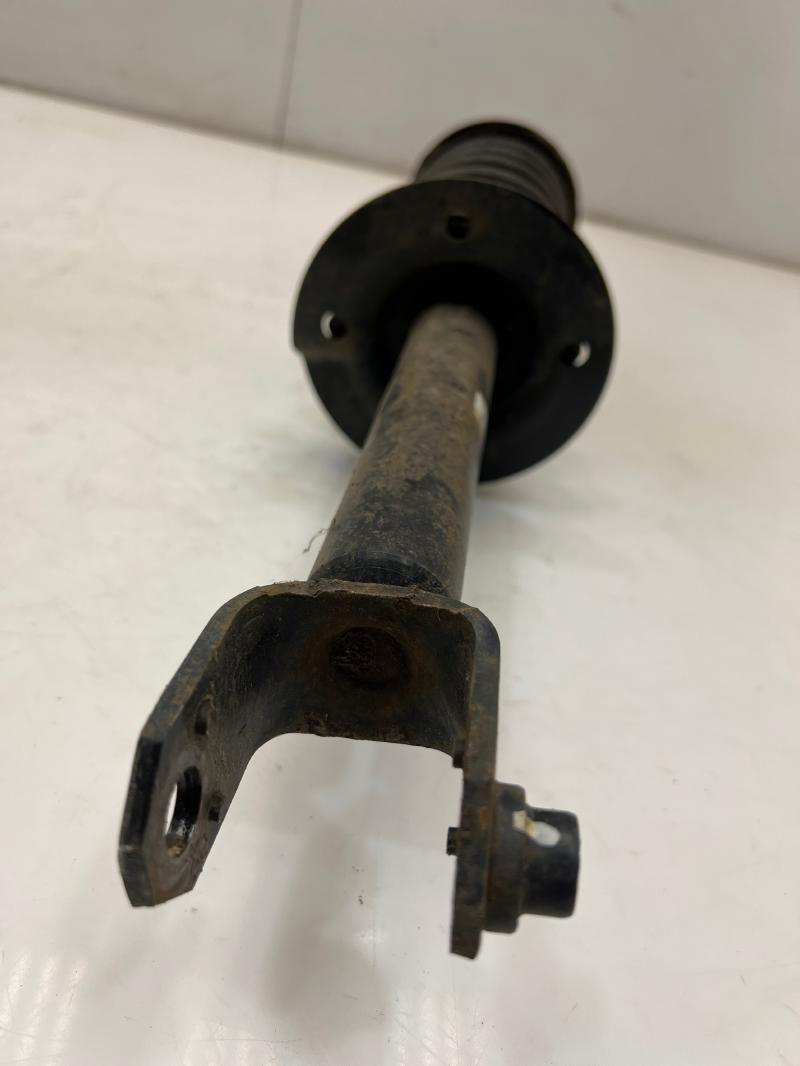 2012 Honda Accord Strut Assembly