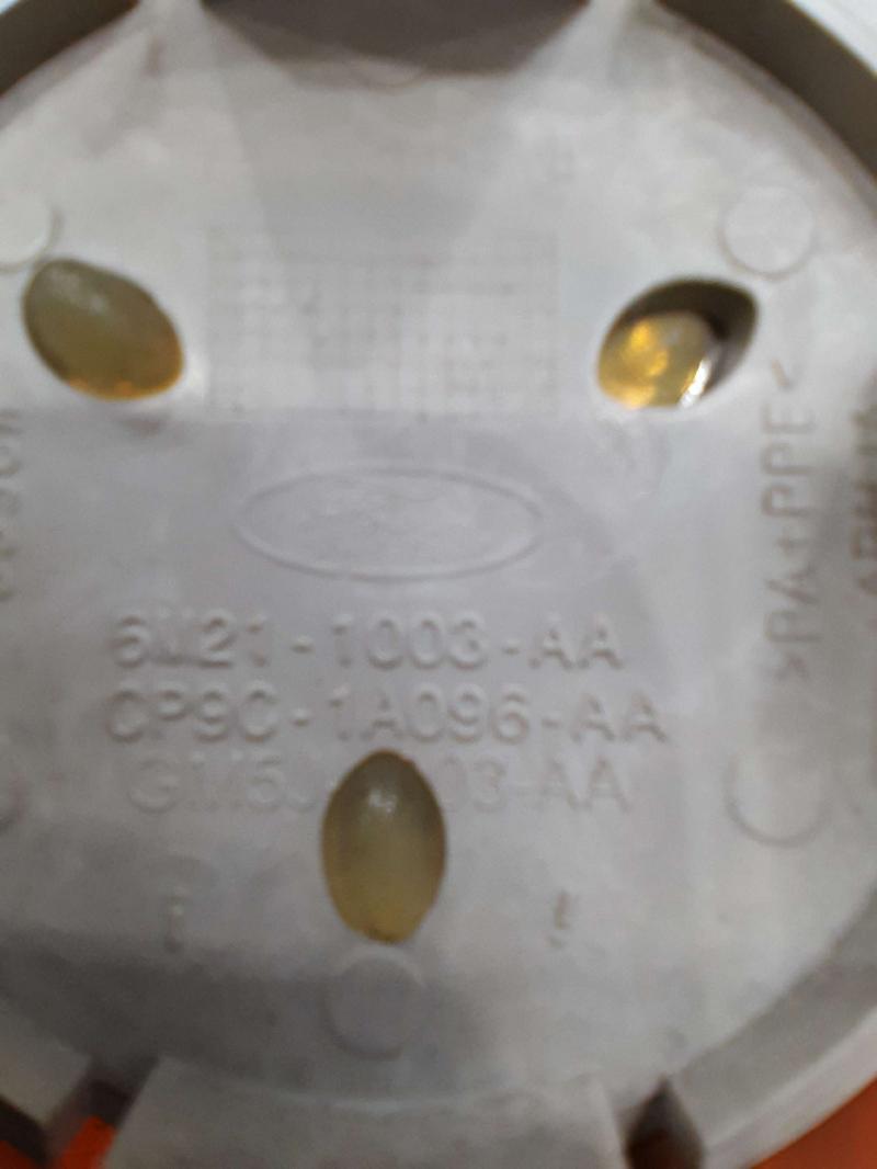 2017 Ford Focus Center Cap