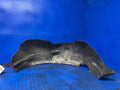 2007 - 2014 Ford Expedition Navigator Front Fender Liner LH Driver Side OEM 7L1Z16103A