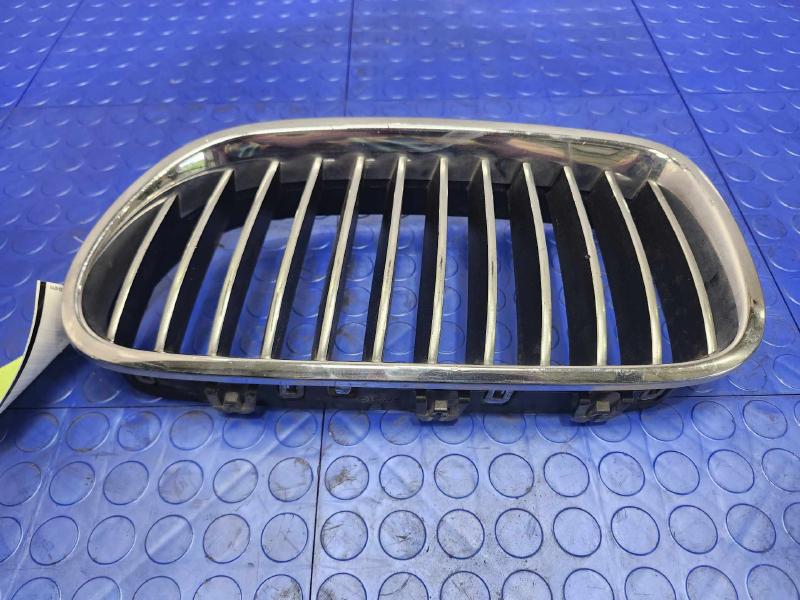 2011 BMW 535i Grille