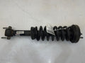 2016 Ford F-150 Strut Assembly