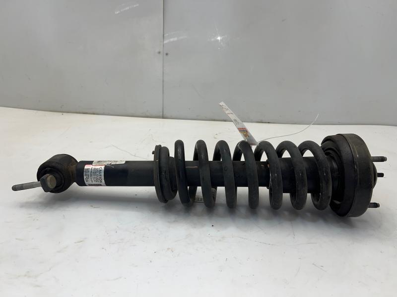2016 Ford F-150 Strut Assembly