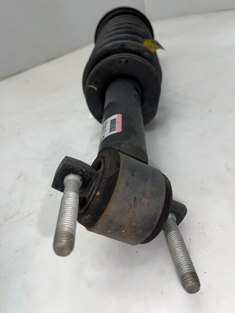 2016 Ford F-150 Strut Assembly