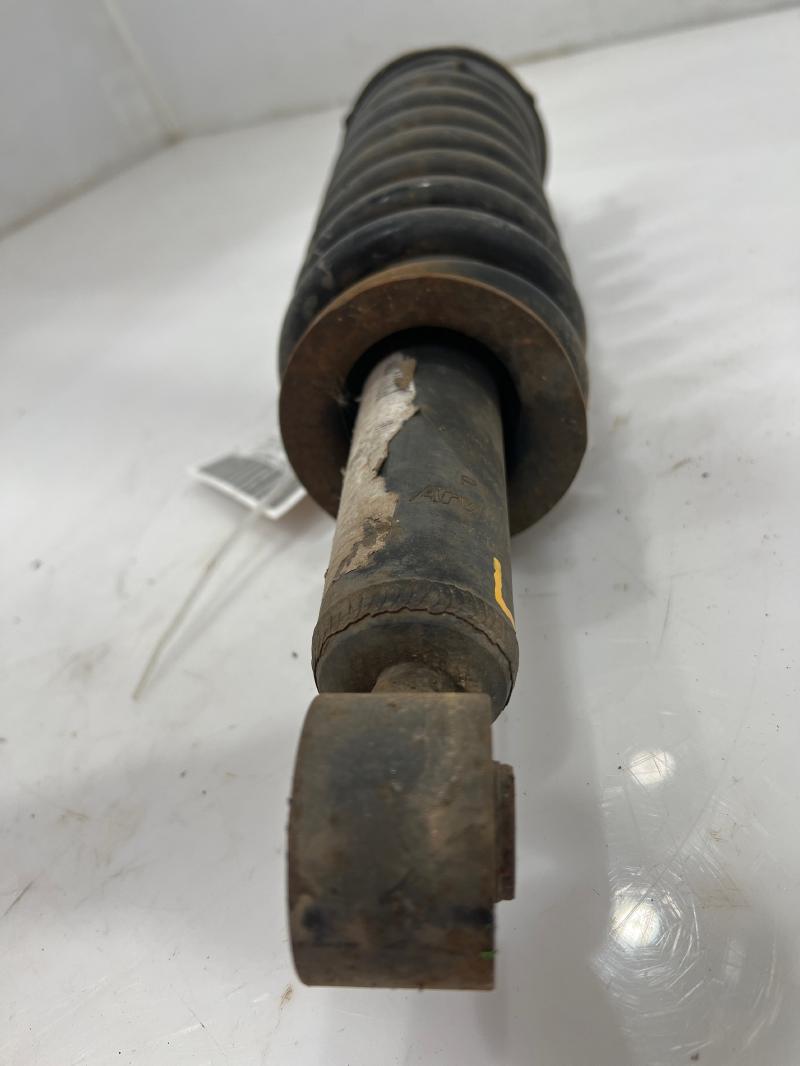 2004 Chevrolet Colorado Strut Assembly