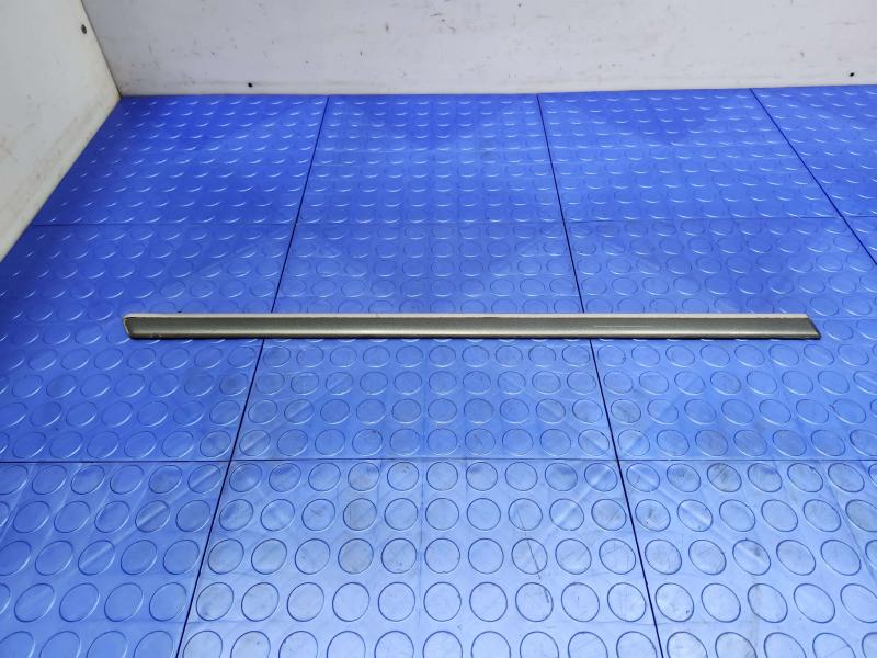 2005 Volkswagen Jetta Rear Door Moulding