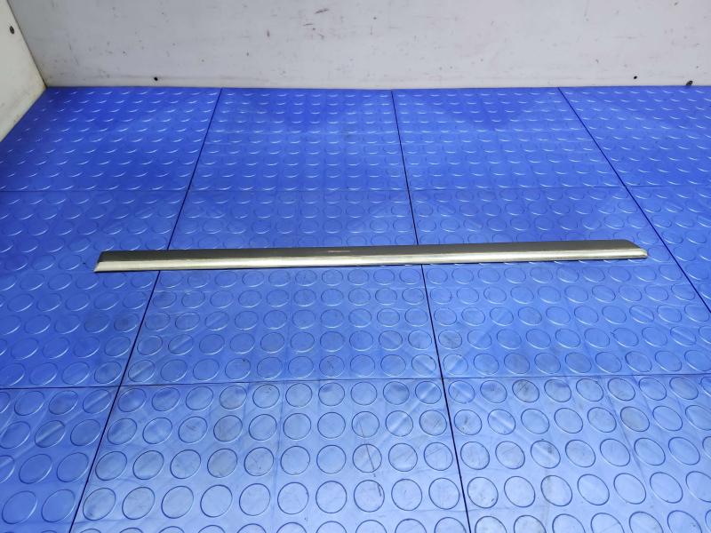 2005 Volkswagen Jetta Rear Door Moulding