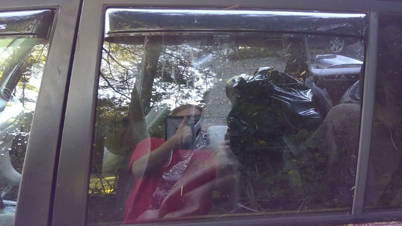 2001 - 2005 Toyota Rav4 Rear Door Glass LH Driver Side Privacy OEM 6810442090