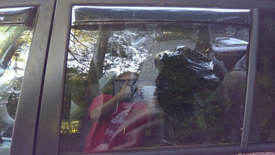 2001 - 2005 Toyota Rav4 Rear Door Glass LH Driver Side Privacy OEM 6810442090