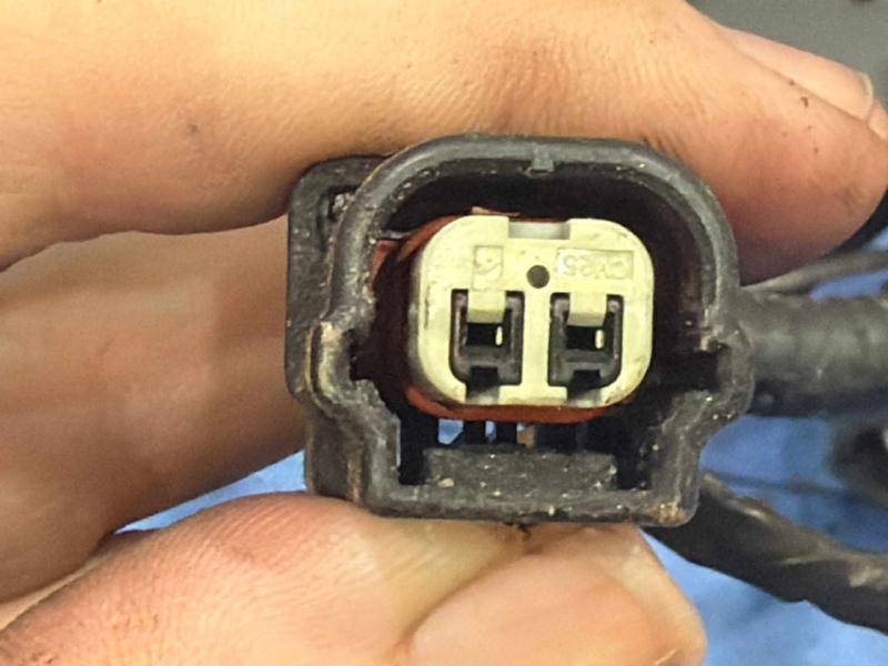 2016 Land Rover Range Rov Wire Harness (Engine)