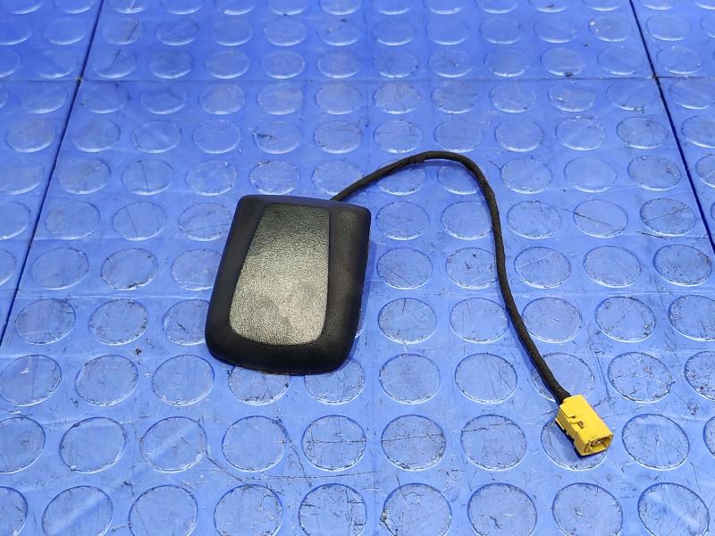 2010 Dodge Challenger Antenna