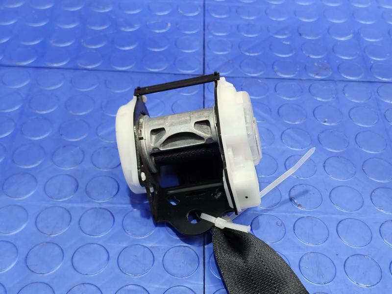 2015 Toyota Prius Rear Seat Belt