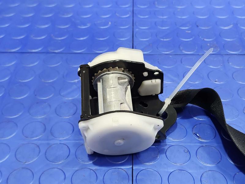 2015 Toyota Prius Rear Seat Belt