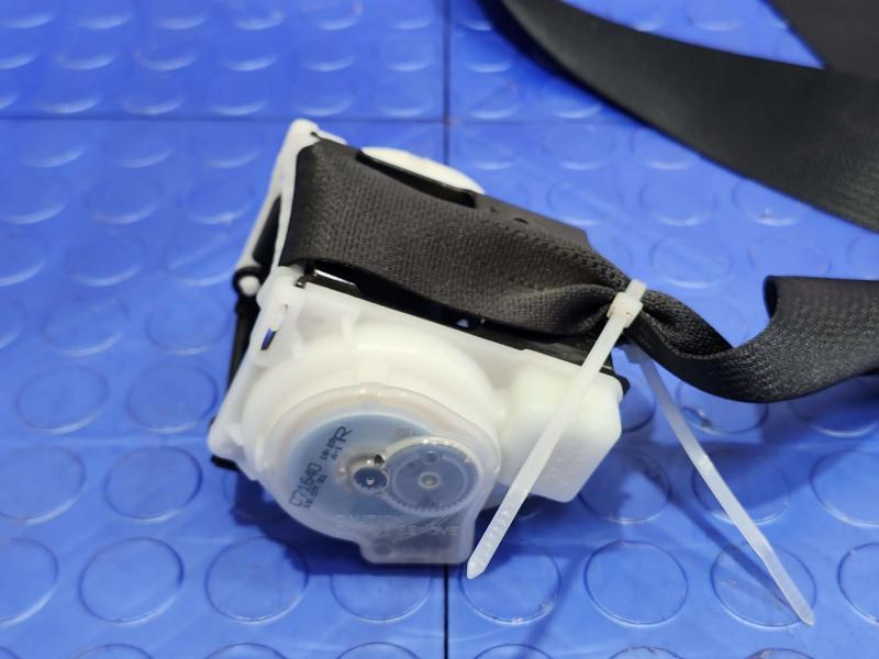 2015 Toyota Prius Rear Seat Belt