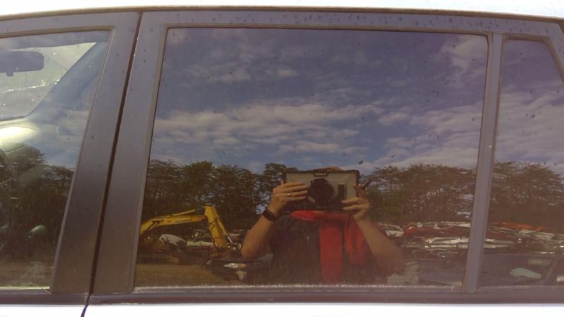2001 - 2005 Toyota Rav4 Rear Door Glass LH Driver Side Privacy OEM 6810442090