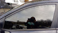 2012 Kia Forte Front Door Glass/Window