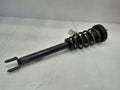 2012 Genesis Genesis Strut Assembly