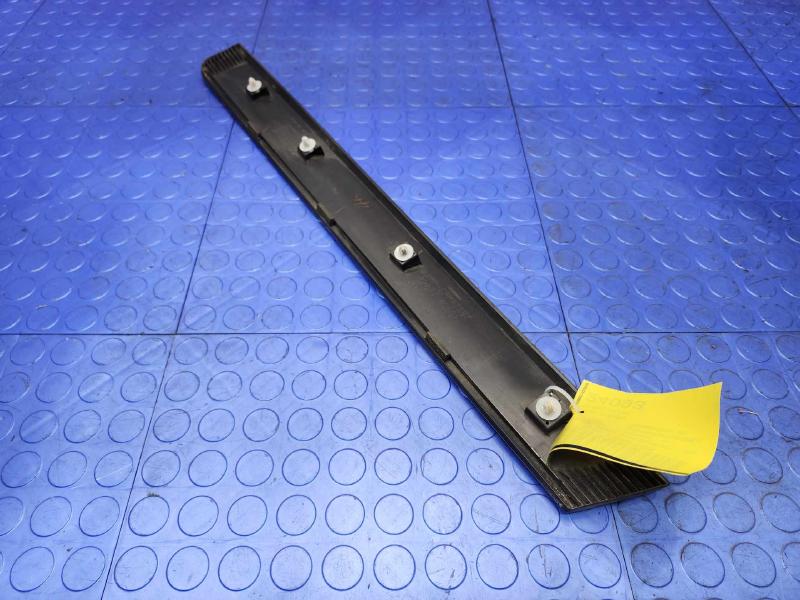 2016 Nissan Rogue Rear Door Moulding