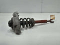 2007 Audi S6 Strut Assembly