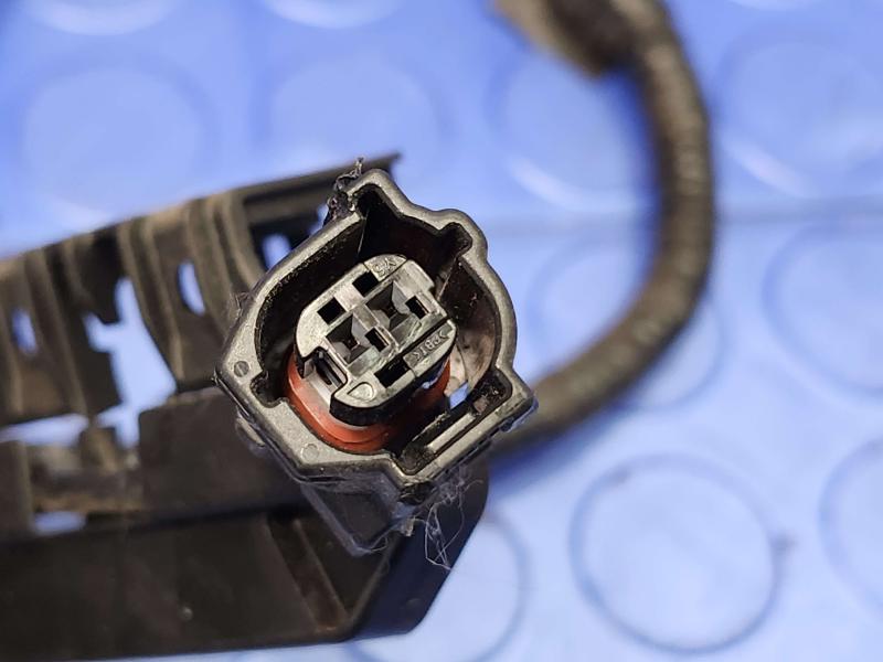 2010 Toyota Prius Front Seat Belt