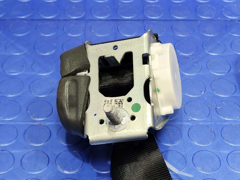 2014 Ford Focus Rear Seat Belt