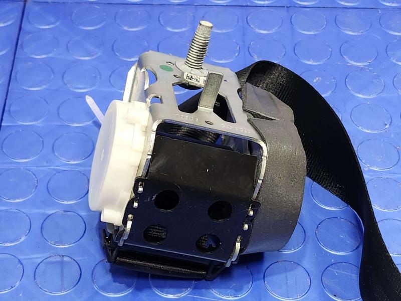2014 Ford Focus Rear Seat Belt