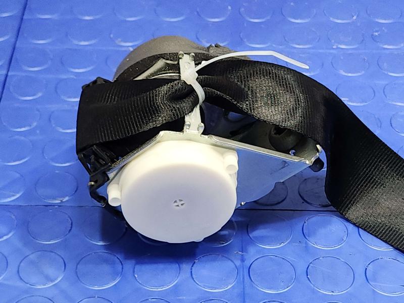 2014 Ford Focus Rear Seat Belt