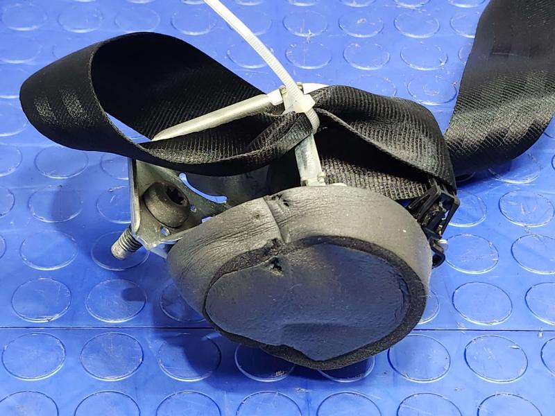2014 Ford Focus Rear Seat Belt