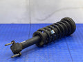 2016 Ford F-150 Strut Assembly