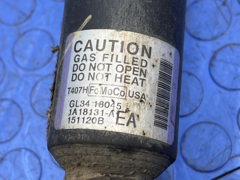 2016 Ford F-150 Strut Assembly