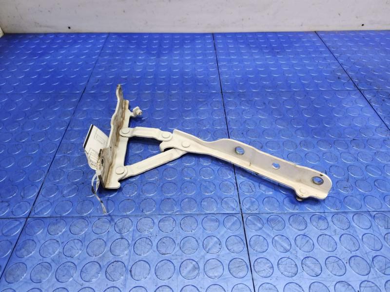 2021 Hyundai Sonata Hood Hinge